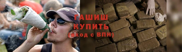 гидра Абаза