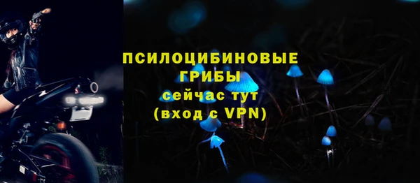 apvp Алексеевка